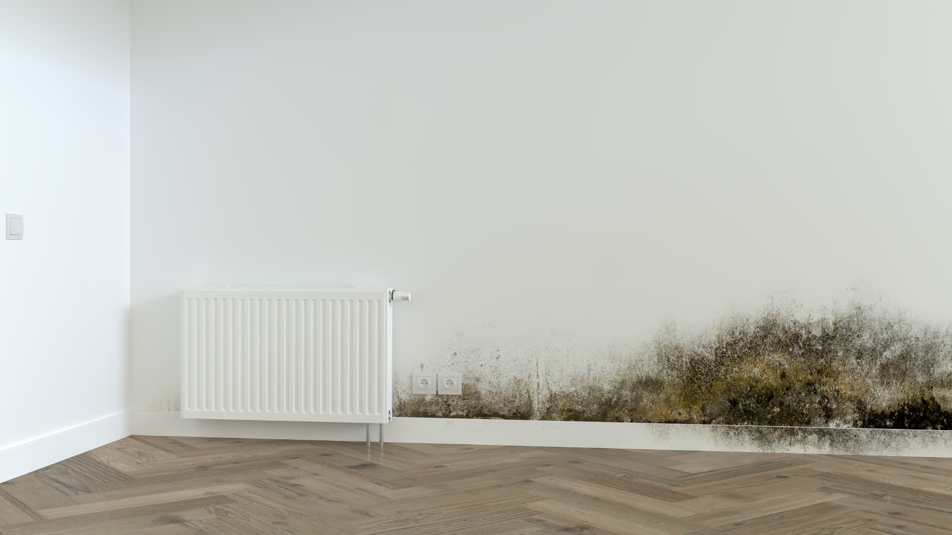 Black toxic mold spreading across a damp apartment wall corner